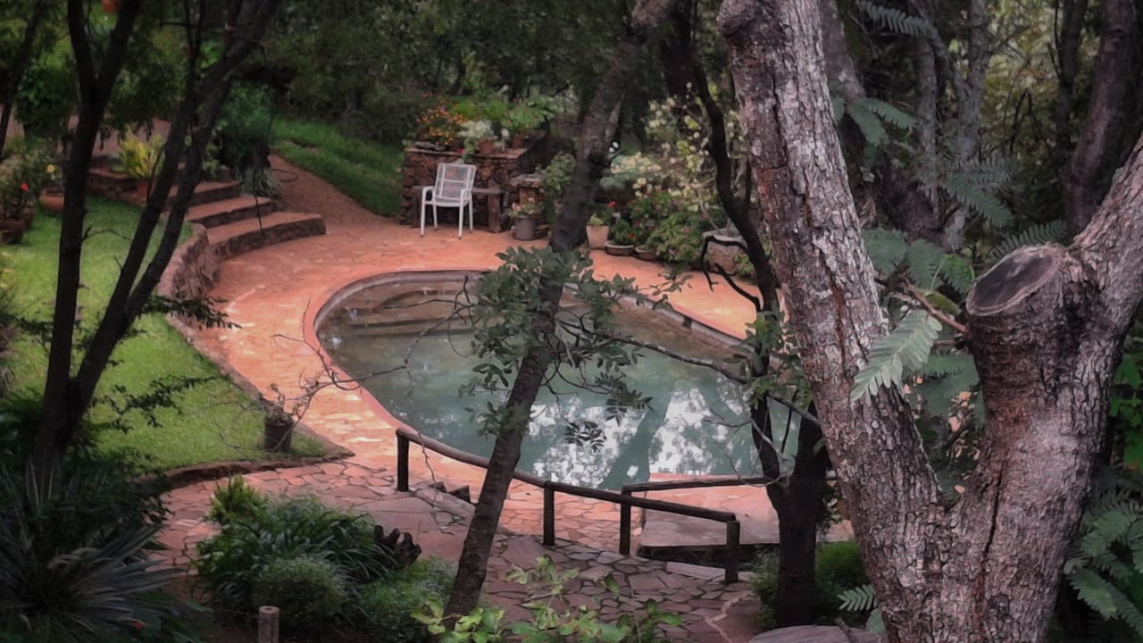 swimming pool with Surrounding nature